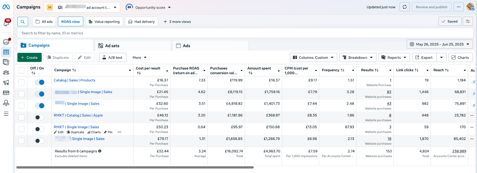 First Month Campaign Performance